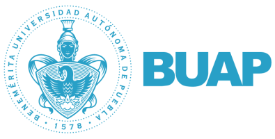 Virtual Horizon BUAP